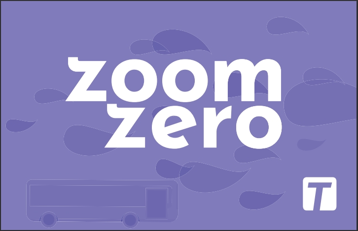 zoom zero travel pass renewal